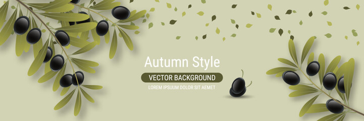 Olive tree branch with leaves and ripe fruits vector illustration. Design for banner, flyer, promo poster, discount card