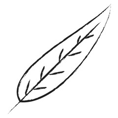 Hand drawn Leaf icon