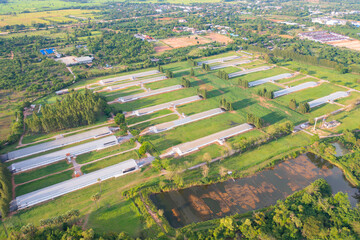 Fototapeta na wymiar Aerial top view of tents roof in plant industry farm, green agricultural field in countryside or rural area in Asia. Nature landscape background.