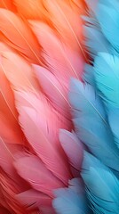 Naklejka premium Texture background with feather surface of bright different colors in soft diffused light. Macro background of feathers, close-up. 