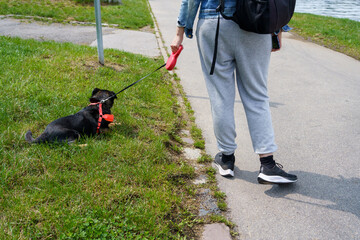 woman with a dog on a leash on a walk on the Vistula Boulevards