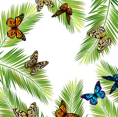 Obraz premium Frame square with palm leaves and butterflies. Vector illustration