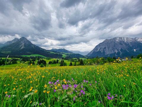 Summer austrian landscape with Grimming mountain (2.351 m), an isolated peak in the Dachstein Mountains, view from small alpine village Tauplitz, Styria, Austria