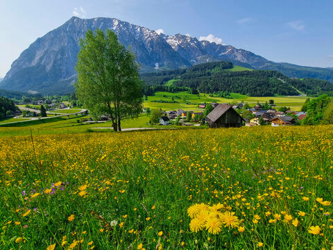 Summer austrian landscape with Grimming mountain (2.351 m), an isolated peak in the Dachstein Mountains, view from small alpine village Tauplitz, Styria, Austria