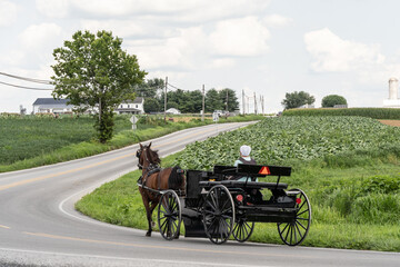 Fototapeta na wymiar Amish Woman drives carriage in rural Lancaster County, Pennsylvania 