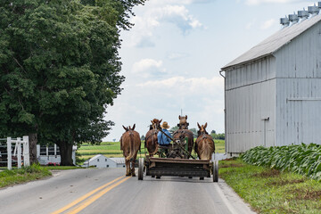Amish Farmer in Lancaster County, Pennsylvania
