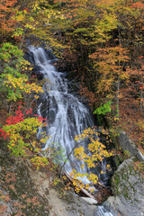 Fototapeta na wymiar 夕張市滝の上公園「秋の北海道」