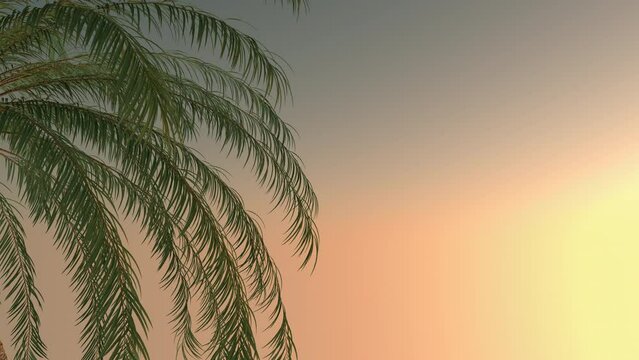 Waving palm leaves against a sunset gradient background in a seamless loop with room for titles, text or logos on the right side. This video is great for any nature, travel or inspirational project.