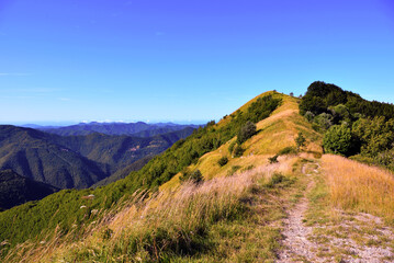 Fototapeta na wymiar panorama from the path to antola mountain liguria italy