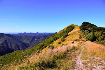 Fototapeten panorama from the path to antola mountain liguria italy © maudanros