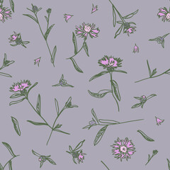 Cornflowers with flowers, petals and leaves. Brown or brownray knapweed. Blossom wildflowers for wallpaper, textile, wrapping paper. Sketch style. Hand drawn vector seamless pattern - 638164721