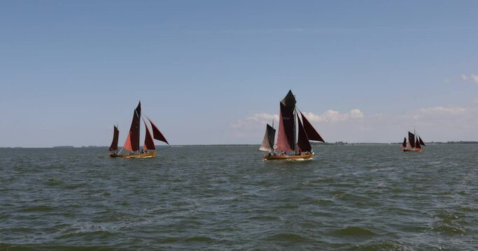 Excursion boat, Zeesbootregatta, Wustrow, Saaler Bodden, Fischland, Darss, Mecklenburg-Vorpommern, Germany, Europe