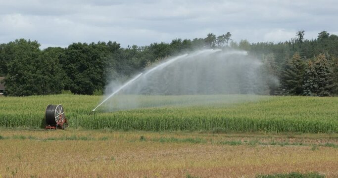 Field irrigation with spraying unit and hose reel, rape field near Hitzacker, Lower Saxony, Germany, Europe
