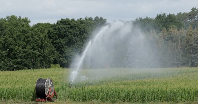 Field irrigation with spraying unit and hose reel, rape field near Hitzacker, Lower Saxony, Germany, Europe