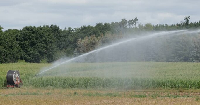 Field irrigation with spraying unit and hose reel, rape field near Hitzacker, Lower Saxony, Germany, Europe