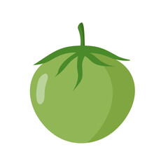 Green tomato vegetable, flat vector icon, cartoon tomatoes illustration