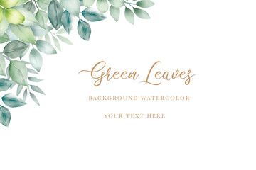 Beautiful green leaves background watercolor