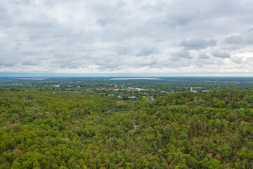Aerial top view of lush green trees from above in tropical forest in national park in summer season. Natural landscape. Pattern texture background.