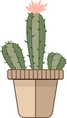 cereus cactus in a pot - 638212154