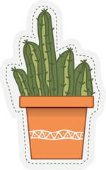 cereus cactus in a pot - 638212161