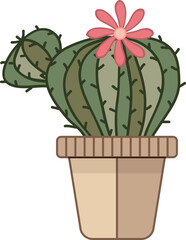 cereus cactus in a pot - 638212163