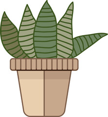 cereus cactus in a pot - 638212165