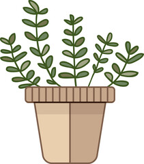 cereus cactus in a pot - 638212166