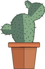 cereus cactus in a pot - 638212175