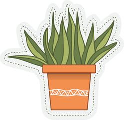 cereus cactus in a pot - 638212181