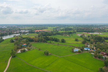 Fototapeta na wymiar Aerial top view of fresh paddy rice, green agricultural fields in countryside or rural area in Asia, Thailand. Nature landscape