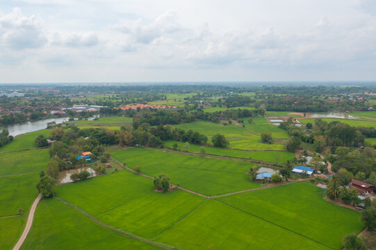 Aerial top view of fresh paddy rice, green agricultural fields in countryside or rural area in Asia, Thailand. Nature landscape © tampatra