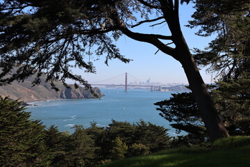 A breathtaking photo of the Golden Gate Bridge shrouded in iconic San Francisco fog, its majestic...
