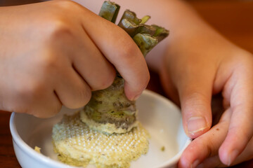 本わさびをすりおろす手元