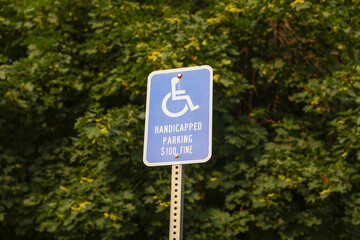 Symbolic blue and white wheelchair logo: Inclusive accessibility, equal rights, special needs, societal inclusion