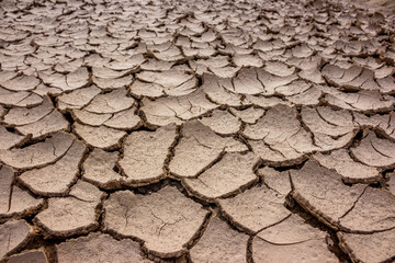 The surface of the bottom of the reservoir dried up and cracked in the sun