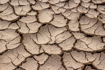 The surface of the bottom of the reservoir dried up and cracked in the sun