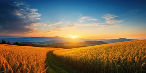 In the rays of the autumn dawn on a hilly landscape of a field of corn. AI Generation 