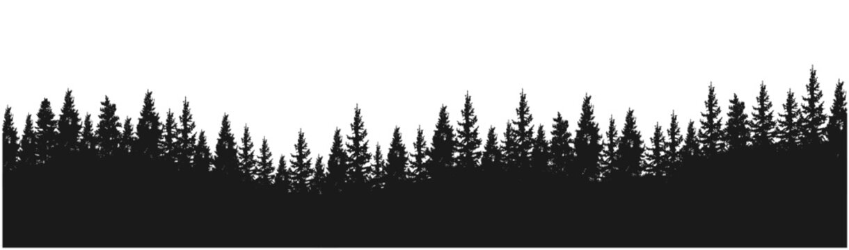 Spruce fir forests, pine tree silhouettes