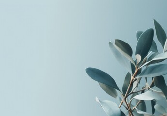 Obraz premium Minimalist leaves on a blue flat background wall — interior design graphic resource with film grain realism