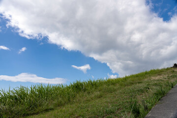 大室山からの景色