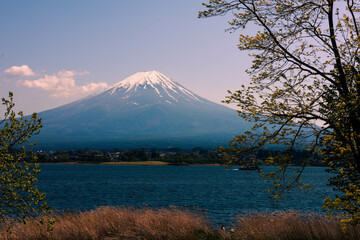 100 views od Mount Fuji, Kawaguchiko, Japan