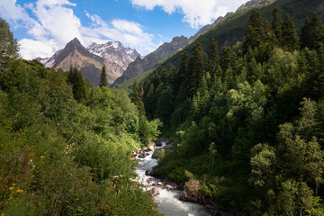 Fototapeta na wymiar View of the Dombay-Ulgen gorge in the mountains of the North Caucasus near the village of Dombay on a sunny summer day, Karachay-Cherkessia, Russia
