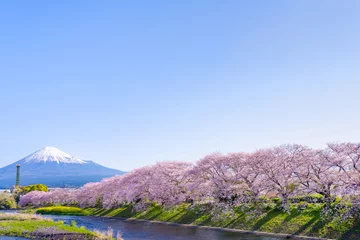 Foto auf Acrylglas 静岡県富士市　龍巌淵の桜と富士山 © あんみつ姫