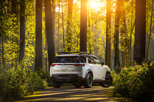 Novosibirsk, Russia - August 23 , 2023: white Nissan Pathfinder Rock Creek , back  view. Photography of a modern car on a parking in the fabulous autumn coniferous forest
