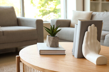 Stylish holder for books with houseplant on coffee table in living room