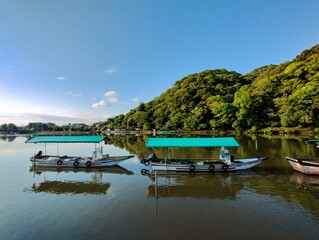 新緑の嵐山界隈