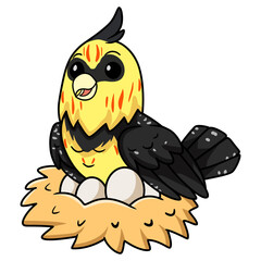 Cute crested barbet bird cartoon with eggs in the nest