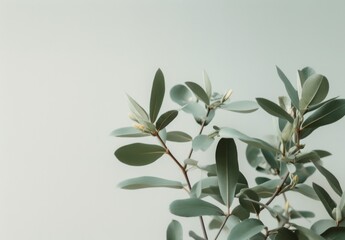Cool, clean, fresh Minimalist leaves on a pale green flat background wall &mdash; Plants &mdash; interior design graphic resource with film grain realism
