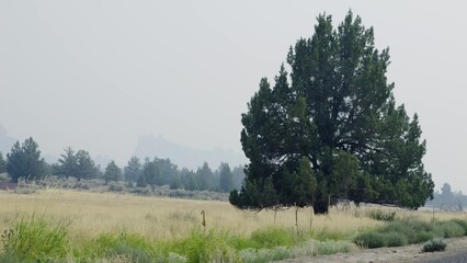Wildfire smoke in Central Oregon
