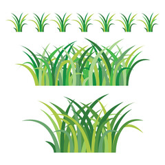 set of colorful green grass object on white background, vector illustration